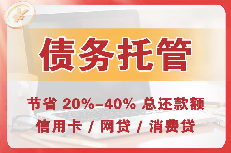 普洱县债务托管